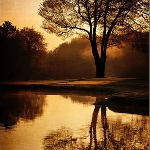 Meet your Posher, Giavanna